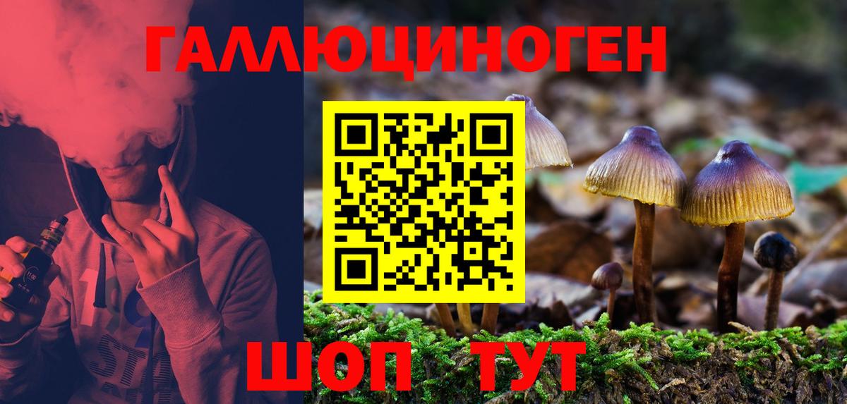 Галлюциногенные грибы Cubensis  Вход с VPN  Дзержинск 